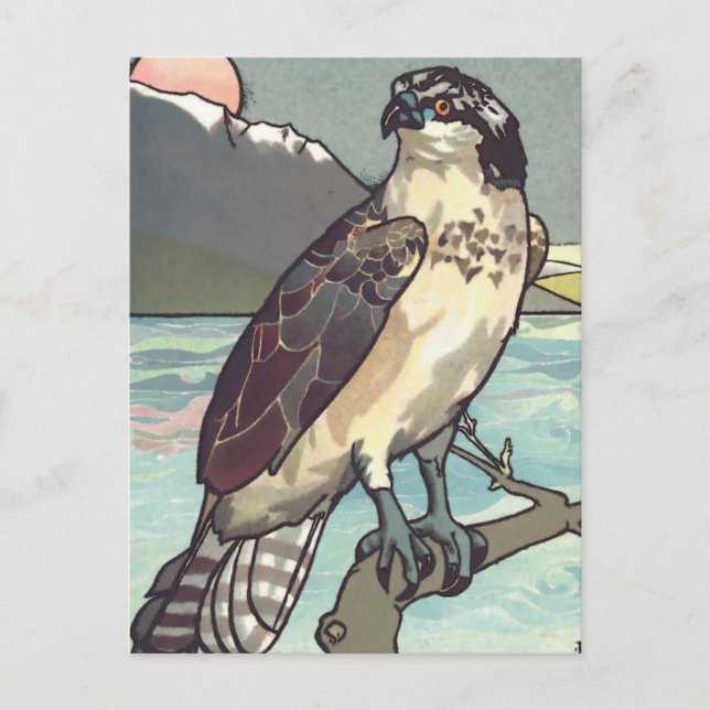 Måla efter nummer Hawk Vykort (Framsida)