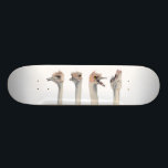 Måla för Ostriches "för dramadrottning" roligt Skateboard Bräda 21,5 Cm<br><div class="desc">Denna är en målning av en ostrich som jag mötte på den Como zooen i St Paul,  MN. Han var egentligen uttrycksfull och var ett underbart subjekt som tar bilder av. Mer sistnämnd målade jag hans olika uttryck i vattenfärg.</div>