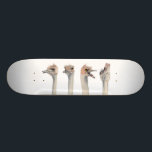 Måla för Ostriches "för dramadrottning" roligt Skateboard Bräda 21,5 Cm<br><div class="desc">Denna är en målning av en ostrich som jag mötte på den Como zooen i St Paul,  MN. Han var egentligen uttrycksfull och var ett underbart subjekt som tar bilder av. Mer sistnämnd målade jag hans olika uttryck i vattenfärg.</div>