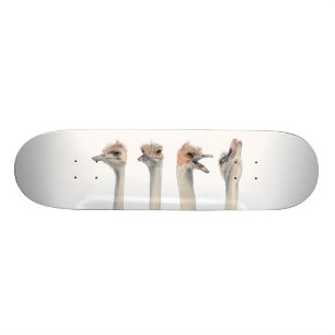 Måla för Ostriches "för dramadrottning" roligt Skateboard Bräda 21,5 Cm