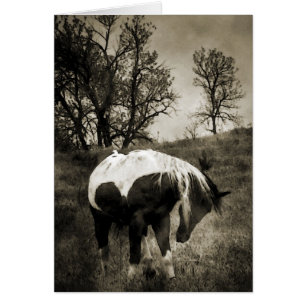 Måla Hälsningskort