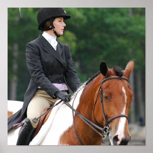 Måla häst vid Visa Poster (Framsidan)