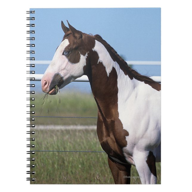 Måla hästanseende anteckningsbok (Framsidan)