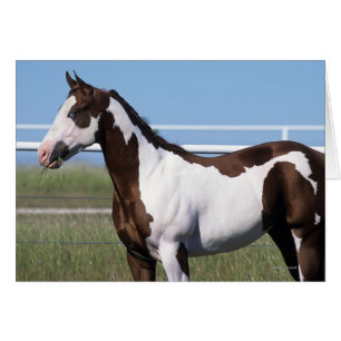 Måla hästanseende hälsningskort