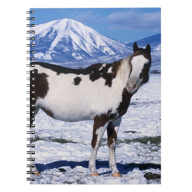 Måla hästanseende i snön anteckningsbok med spiral (Framsidan)