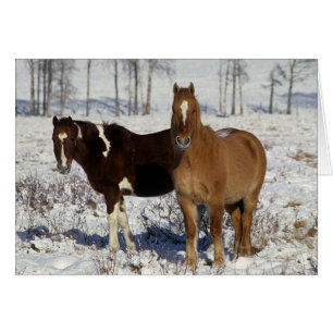 Måla hästar i snön hälsningskort