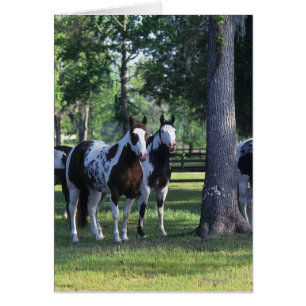 Måla hästar i träden hälsningskort