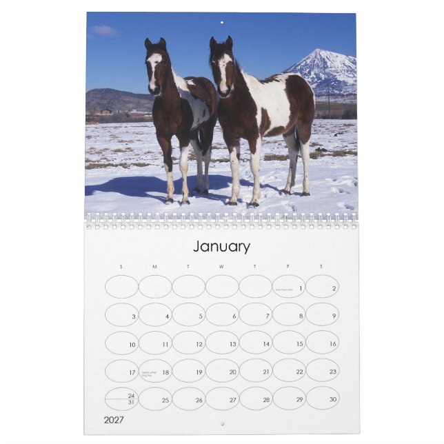 Måla hästen kalender (Jan 2027)