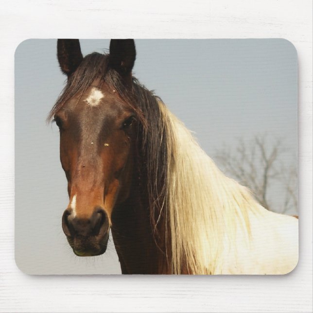 Måla hästen som musen vadderar musmatta (Framsidan)