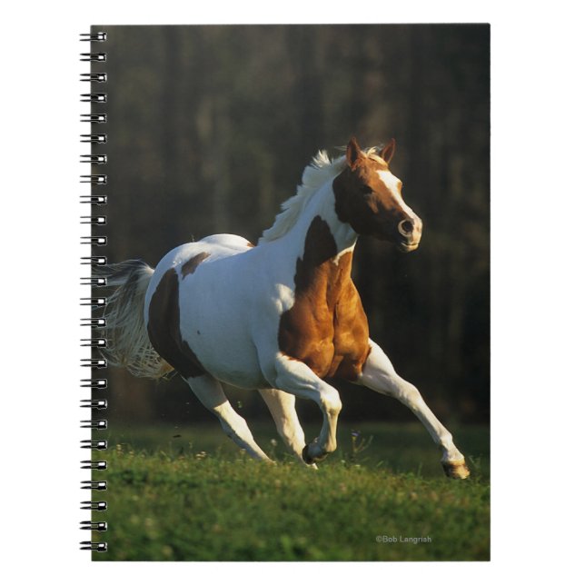 Måla hästen som spring fastar anteckningsbok med spiral (Framsidan)