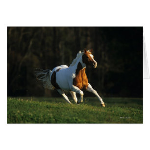 Måla hästen som spring fastar hälsningskort