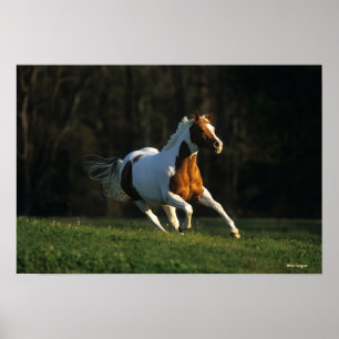 Måla hästen som spring fastar poster