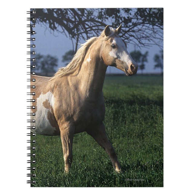Måla hästen som står 2 anteckningsbok (Framsidan)