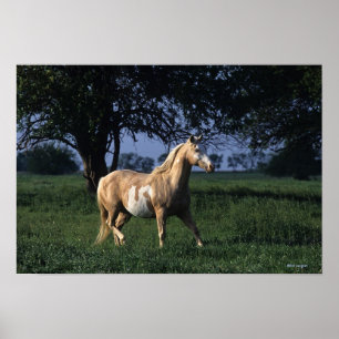 Måla hästen som står 2 poster