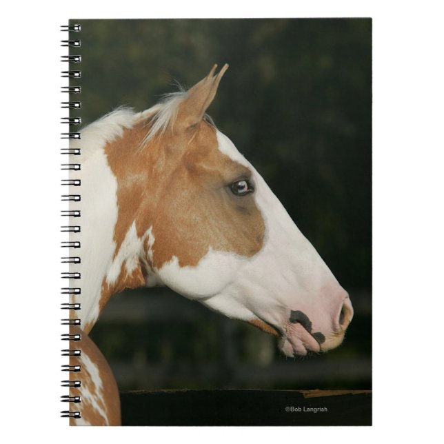 Måla hästHeadshot 2 Anteckningsbok (Framsidan)