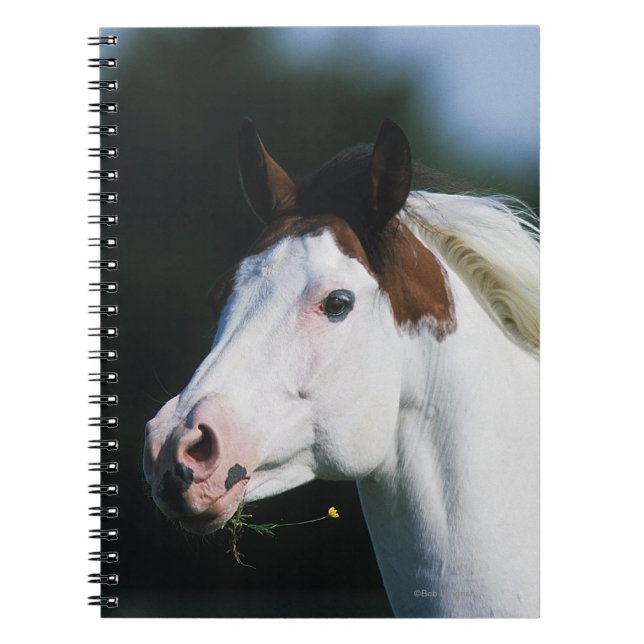 Måla hästHeadshot 3 Anteckningsbok (Framsidan)