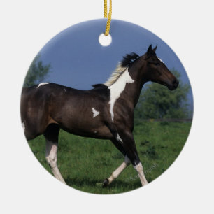 Måla hästspring 2 julgransprydnad keramik