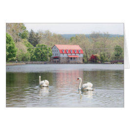 Mala i sommar med 2 svanar i damm hälsningskort