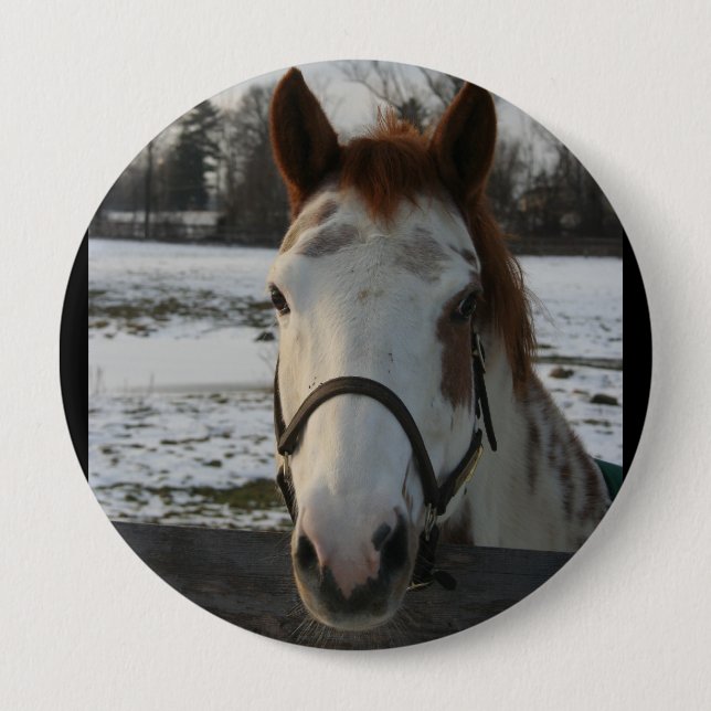 Måla knäppas knapp (Framsida)