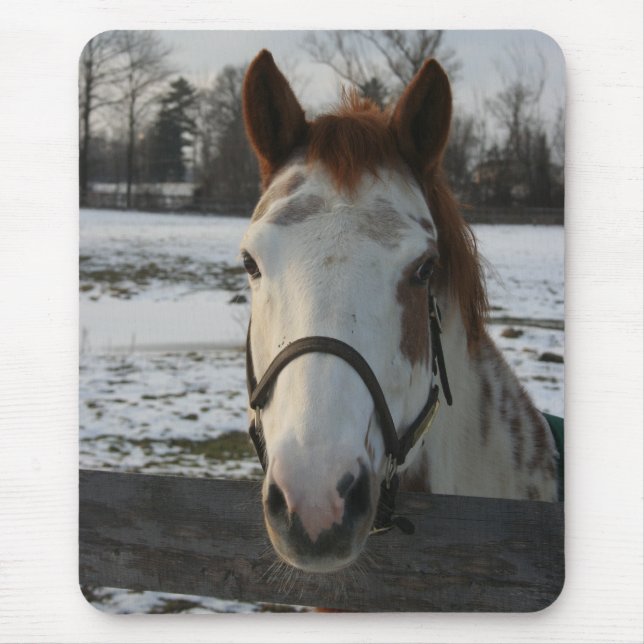 Måla Mousepad Musmatta (Framsidan)