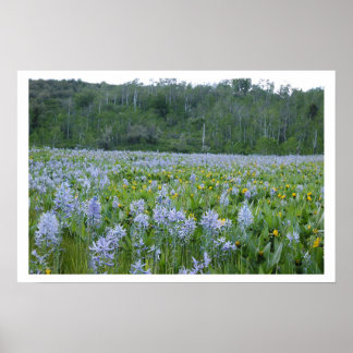 Måla på fostret poster