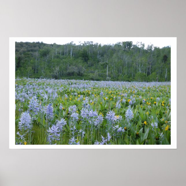 Måla på fostret poster (Framsidan)