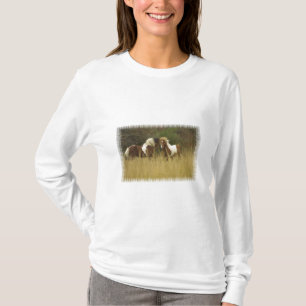 Måla ponnyer i fältlångärmadskjorta t shirt