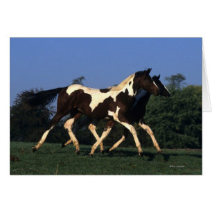 Måla rinnande årsgammal djurunge hälsningskort