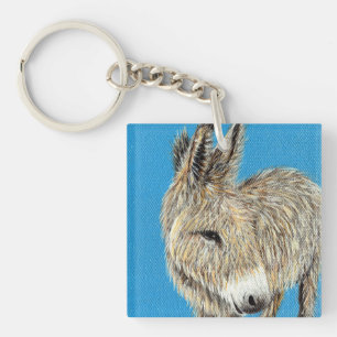 Måla vänligt på Donkey