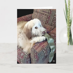 MALACHI-heARTdog Whoodle Kort