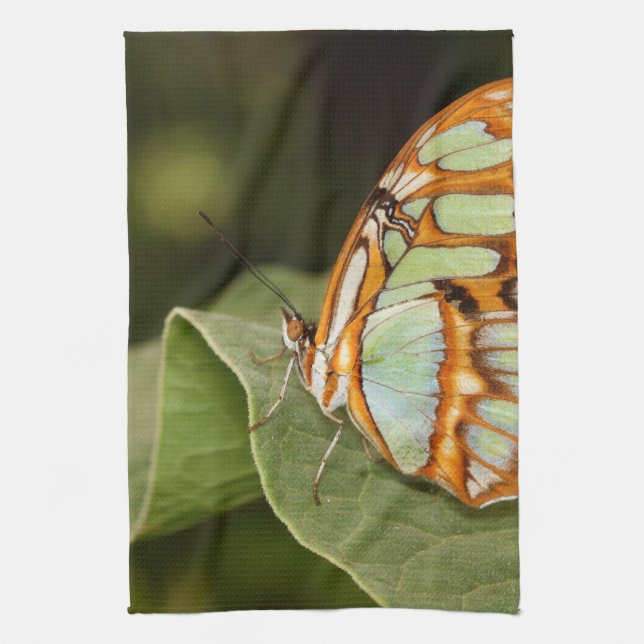 Malachite Butterfly Perched on a löv Kökshandduk (Vertikal)