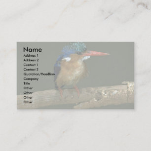 MalachiteKingfisher Visitkort