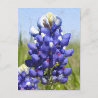 "Målad" Bluebonnet Vykort