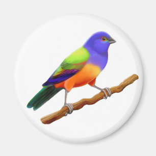 Målad Bunting magnet