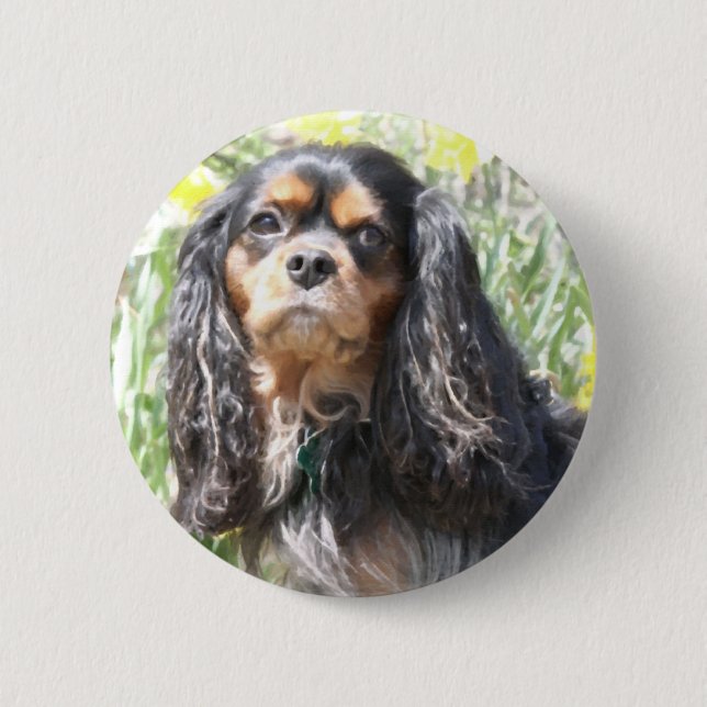 Målad Cavalier King Charles Spaniel Knapp (Framsida)