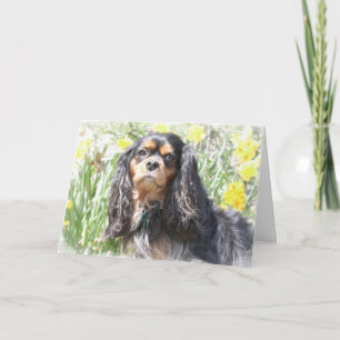 Målad Cavalier King Charles Spaniel Välkomstbil Kort
