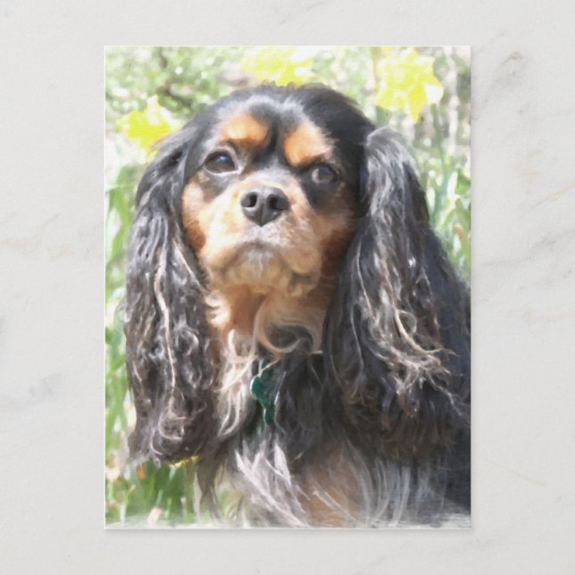 Målad Cavalier King Charles Spaniel Vykort (Framsida)