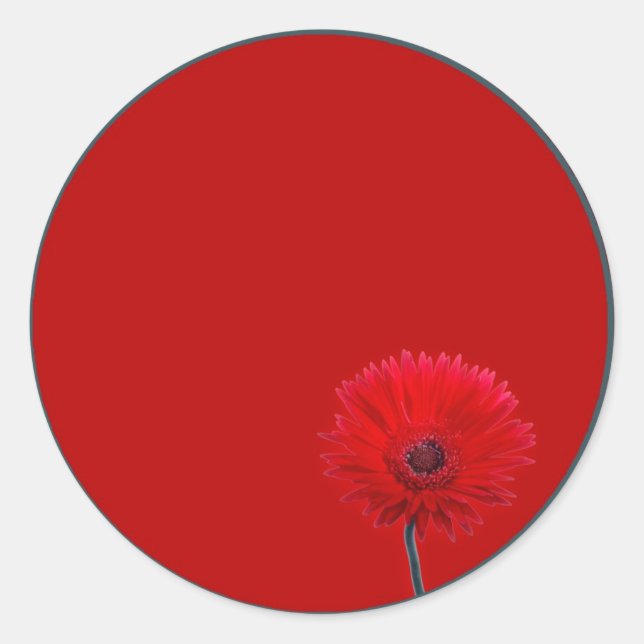 Målad Daisy Runt Klistermärke (Framsida)