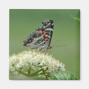 Målad damfjäril magnet