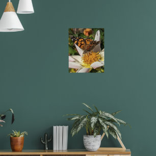 Målad damfjäril på vit dahlia poster