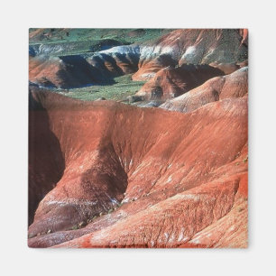Målad Desert, Arizona Magnet