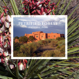 Målad Desert Inn, Petrified Forest NP, AZ Vykort