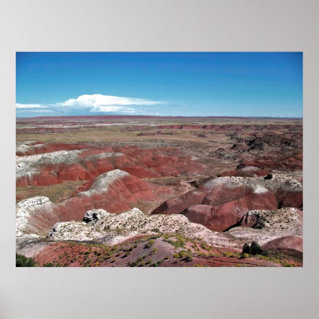 Målad Desert Poster (Framsidan)