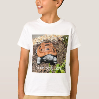 Målad dossköldpadda, i trädgård, specialdesignade t shirt