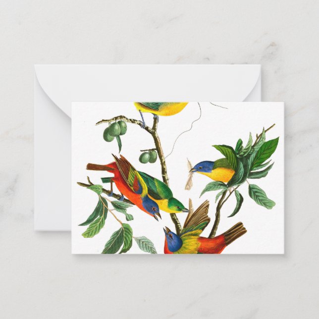 Målad fink av John James Audubon Anteckningskort (Framsida)
