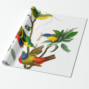 Målad fink av John James Audubon Presentpapper