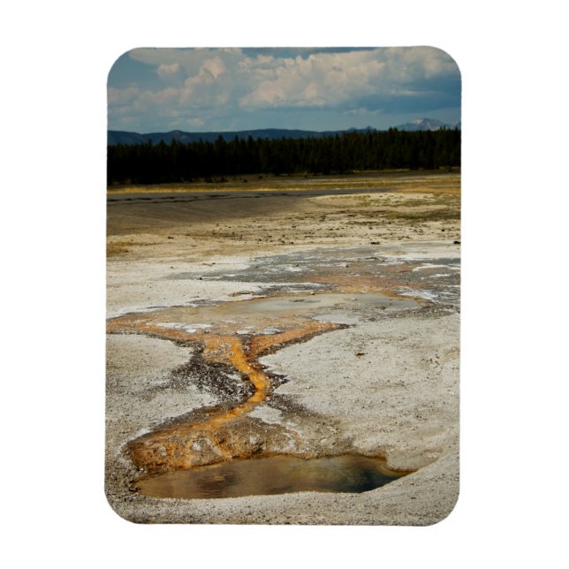 Målad Grounds Premium Magnet (Vertikal)