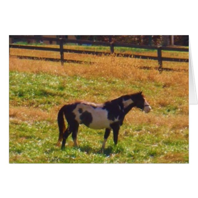 Målad häst i Avstånd Hälsningskort (Framsidan Horizontal)