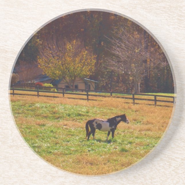 Målad häst i Avstånd Underlägg (Framsidan)