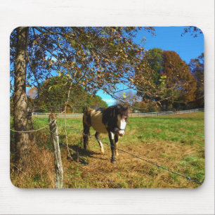 Målad häst, musmatta